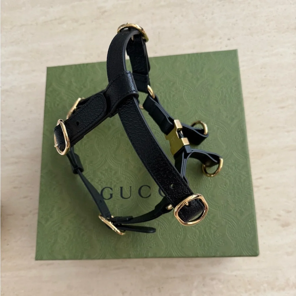 NWB Gucci GG Logo Black Leather Pet - Dog Harness with Gold Buckles Size M